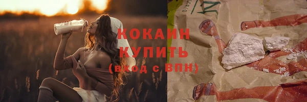 прущие грибы Богородск