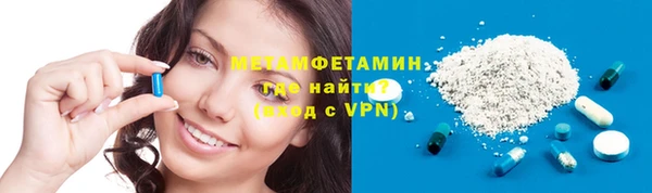 прущие грибы Богородск