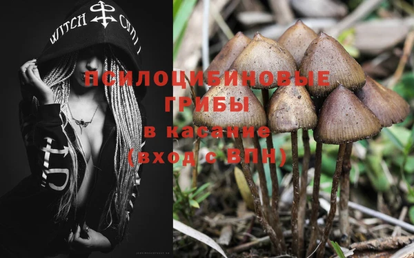 дурь Ростов