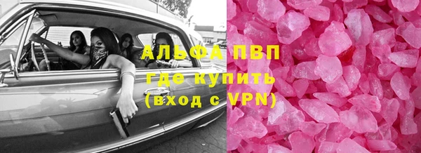 прущие грибы Богородск