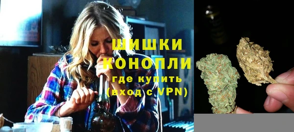 прущие грибы Богородск