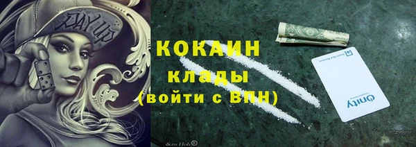 прущие грибы Богородск