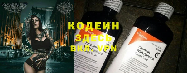 прущие грибы Богородск